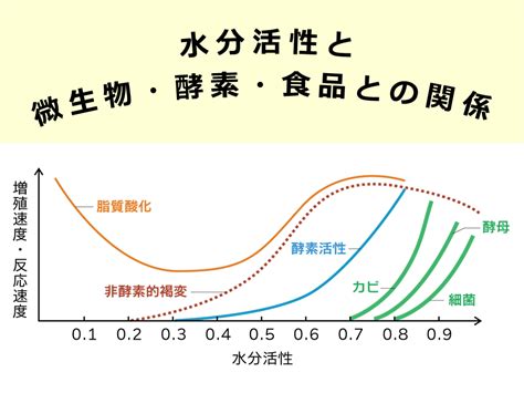 食品中の水分と水分含有量測定 